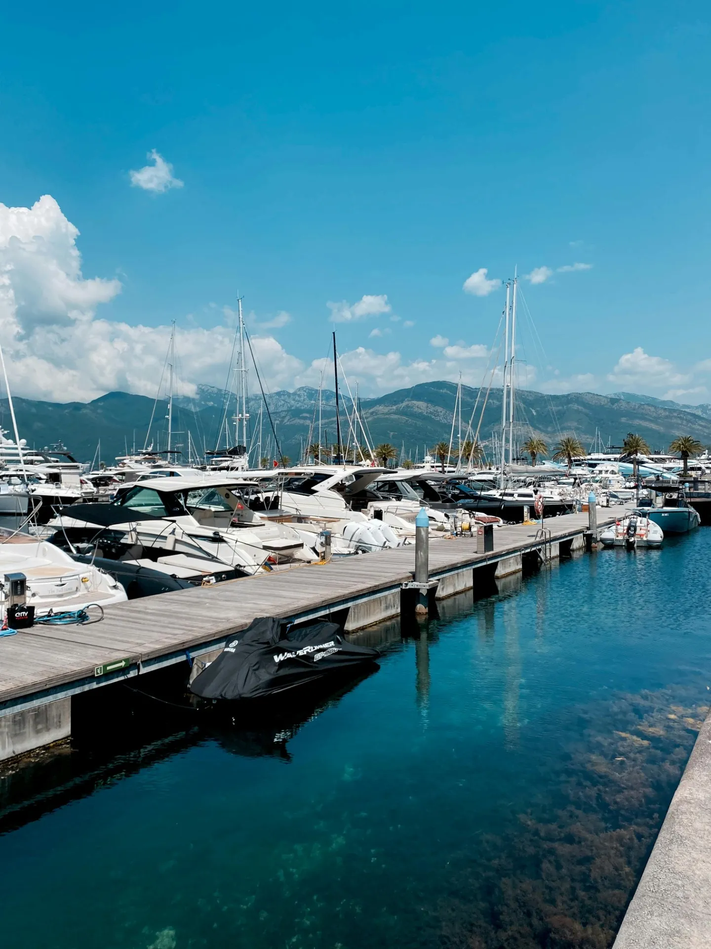 ヨットハーバー浮桟橋に適したウッド素材の特長